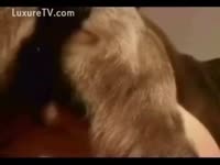 Dog licking his master’s vagina